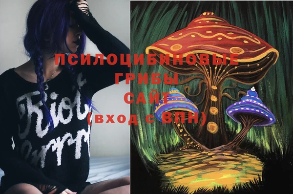 тгк Горняк
