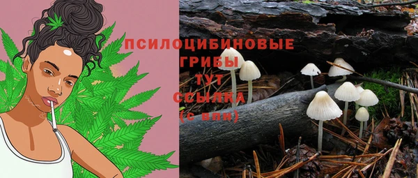 соль курить ск Горнозаводск