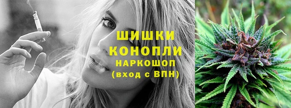 тгк Горняк